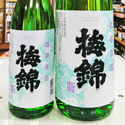 梅 錦 純米生酒